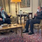 شكري: مصر تُولي أهمية بالغة لخروج القوات الأجنبية من ليبيا