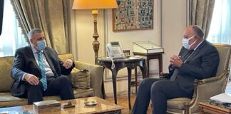 شكري: مصر تُولي أهمية بالغة لخروج القوات الأجنبية من ليبيا