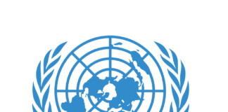 الاعتداء على محكمة استئناف سبها.. القضاء يطالب باحترام القانون والبعثة تدعو بانزعاج لانتخابات شفافة