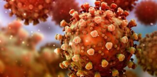 مكافحة الأمراض: نوصي بقيود على الوافدين من جنوب أفريقيا عبر دول وسيطة