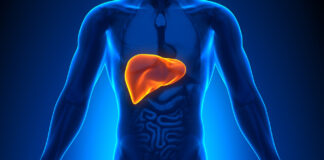 للحفاظ على الكبد .. تعرّف على الأطعمة التي ينصح الأطبال بتناولها في العشاء