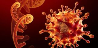 المتحور الجديد يثير هلع العالم.. مكافحة الأمراض: اللقاح الصيني الأفضل ضد “أوميكرون”.