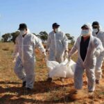 هيئة المفقودين: 10 عينات من التي تمت مطابقتها تعود لمفقودي 2011