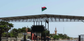 وزارة الزراعة تشكل غرفة لمنع دخول الحيوانات عبر المنافذ البرية