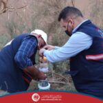 مصائد للبعوض الناقل للملاريا في مناطق الجنوب