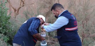 مصائد للبعوض الناقل للملاريا في مناطق الجنوب