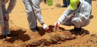 رابطة ضحايا ترهونة: التعرف علي هوية الشرطي عبدالله محمد المهدي في مقابر موقع القابينة