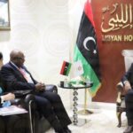 زينينغا يؤكد للنويري عزم البعثة دعم البرلمان للدفع بالعملية الانتخابية