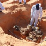 رابطة ضحايا ترهونة تعلن التعرف على ثلاثة جثث بالمقابر الجماعية