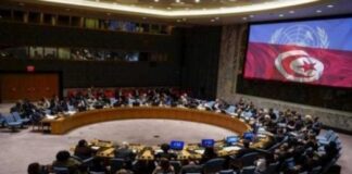 تونس: لم ندخر جهدا في الدفاع عن القضايا العربية وعلى رأسها الوضع الليبي