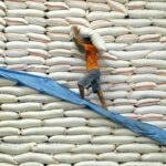 الوطنية للمطاحن والأعلاف تبدأ في مشروع الحكومة لدعم الأعلاف