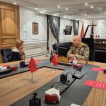 وليامز تبحث مع الحداد مستجدات المسار العسكري وسحب المرتزقة