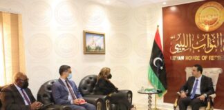 النويري يناقش مع ويليامز والبعثة الأممية خارطة الطريق والانتخابات