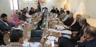 لجنة خارطة الطريق تبحث مع الأعلى للدولة المسار الدستوري