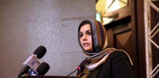لنقي: لجنة خارطة الطريق البرلمانية ستجعل إجراء الانتخابات بعد 5 سنوات