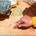 اكتشاف مقبرة أثرية في منطقة الظهرة