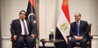 المنفي والسيسي يؤكدان أهمية تحقيق الأمن والاستقرار في البلاد