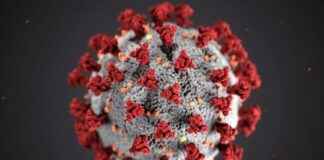 المركز الوطني لمكافحة الأمراض يسجل 3,272 إصابة بفايروس كورونا