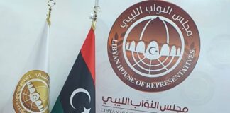 الفرجاني: فتح المجال الجوي تمّ تحت ضغوط دولية لكنه يظل قرارا إيجابيا