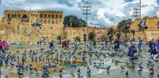 الوطني للأرصاد: أجواء شتوية ممطرة على مناطق الساحل