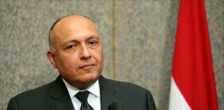 شكري: ندعم المؤسسات الشرعية في ليبيا وفقا لقوانين مجلس النواب