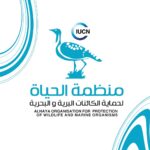 منظمة حماية الكائنات البرية والبحرية تطالب بعدم الاعتداء على حيوان الضبع