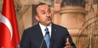 أوغلو: تركيا تهدف إلى الاستفادة المُتبادلة مع الاتحاد والمنظمات الإقليمية الأفريقية