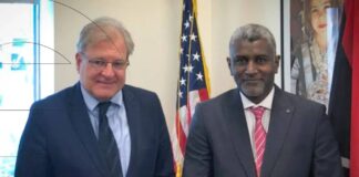 نورلاند وعبد المجيد يتفقان على أهمية الحوار وإنجاز الانتخابات