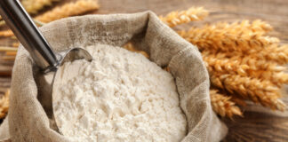 المغربي: نسعى جاهدين لاستيراد الحبوب والطحين من روسيا في أقرب الآجال