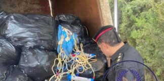 الحرس البلدي يضبط مركبات بداخلها مخلفات طبية وأعضاء بشرية بمنطقة السائح