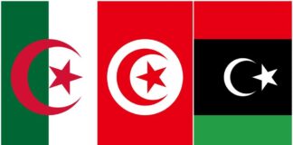 اجتماع ليبي جزائري تونسي حول قضايا التنمية ومكافحة