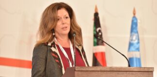 ويليامز تعلن انتهاء الجولة الأخيرة للجنتي المسار الدستوري من النواب والدولة