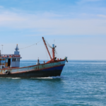 الثروة البحرية: نطالب بالإنصاف وتحقيق العدالة الاجتماعية بين كافة القطاعات الخدمية