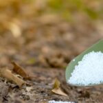 العربي الجديد: أسعار سماد اليوريا ازدادت نحو 8 أضعاف في ليبيا