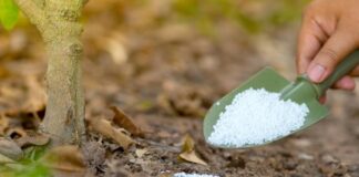 العربي الجديد: أسعار سماد اليوريا ازدادت نحو 8 أضعاف في ليبيا