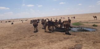 جهاز النهر الصناعي يعلن تعرض أحد المحطات بمنظومة القرضابية السدادة لاعتداءٍ