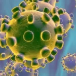 اكتشاف فايروس لانجيا هنيبا الفتاك في الصين