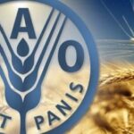 موسم حصاد محاصيل الحبوب الشتوية للعام 2022 انتهى في يوليو الماضي بإنتاج 209 آلاف طن من الحبوب