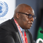 زينينغا :انتشار السلاح في ليبيا يهدد سلامة المواطنين بها