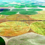 خارج سياسة التحرير … الدبيبة يسأل: “شن بنديرو بالزراعة