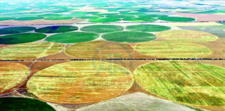 خارج سياسة التحرير … الدبيبة يسأل: “شن بنديرو بالزراعة